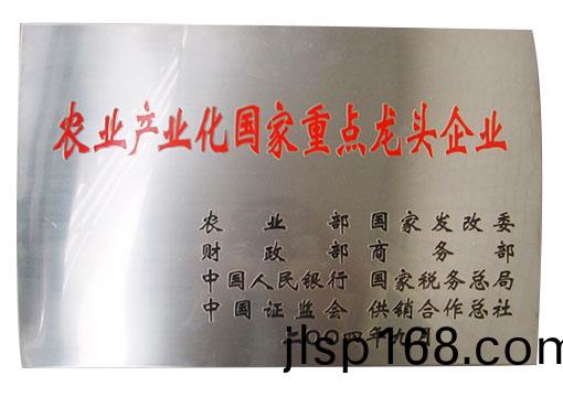 2004年