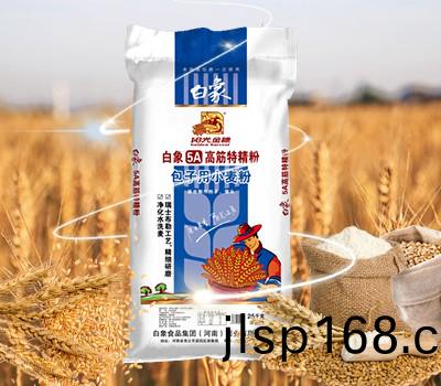 5A高筋(jin)特精粉