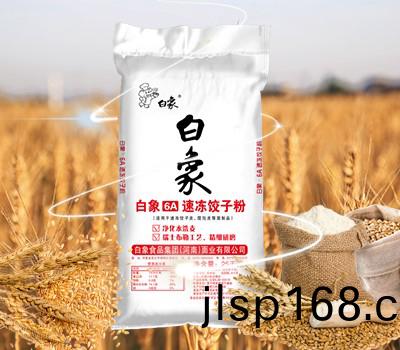 白象(xiang)6A速凍餃(jiao)子粉