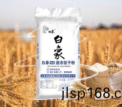 白象5A速凍(dong)餃子粉(fen)