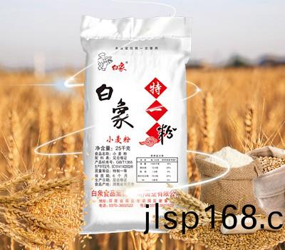 白象特(te)一粉(fen)