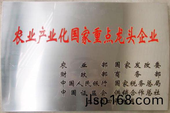 立足過(guo)去(qu)、放(fang)眼未(wei)來(lai)，白象(xiang)食(shi)品二十(shi)三(san)歲(sui)生日(ri)快樂(le)